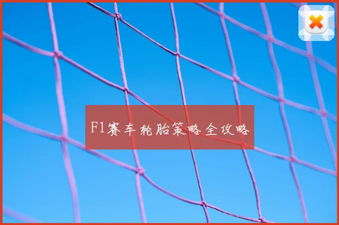 F1赛车轮胎策略全攻略