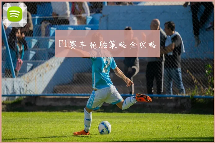 F1赛车轮胎策略全攻略