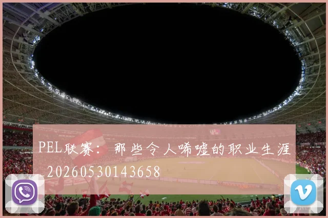 PEL联赛：那些令人唏嘘的职业生涯_20260530143658
