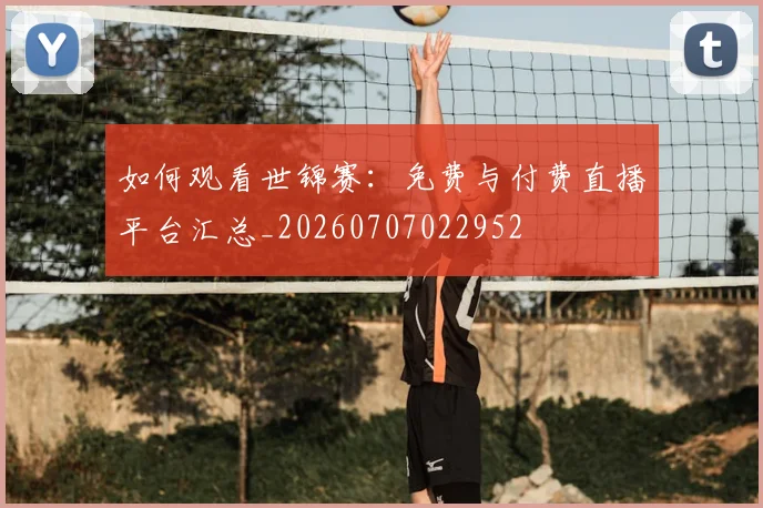 如何观看世锦赛:免费与付费直播平台汇总_20260707022952